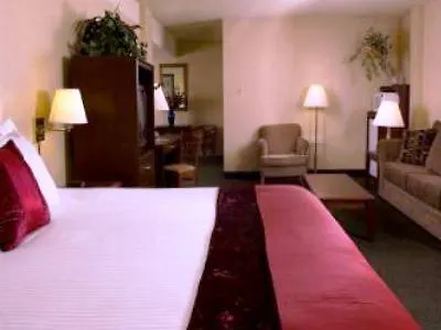 Ramada By Wyndham Denver Downtown